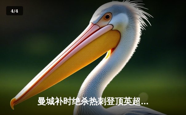 曼城补时绝杀热刺登顶英超 哈兰德双响创纪录 - 4